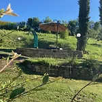 Campo Del Pillo *