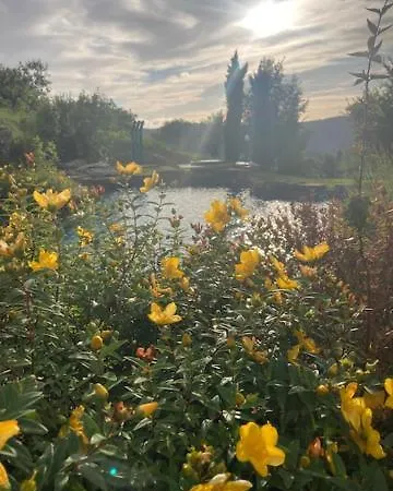 Campo Del Pillo