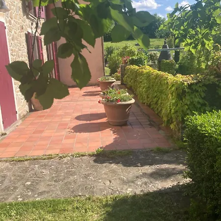 Campo Del Pillo *