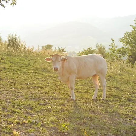 Alloggio per agriturismo Campo Del Pillo *