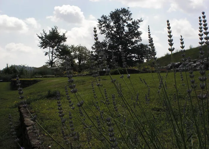 Campo Del Pillo Pietradura