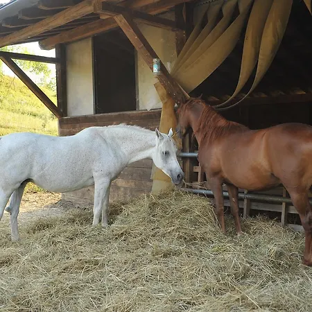 ファームステイ Campo Del Pillo Pietradura