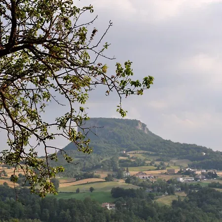 Campo Del Pillo ファームステイ *