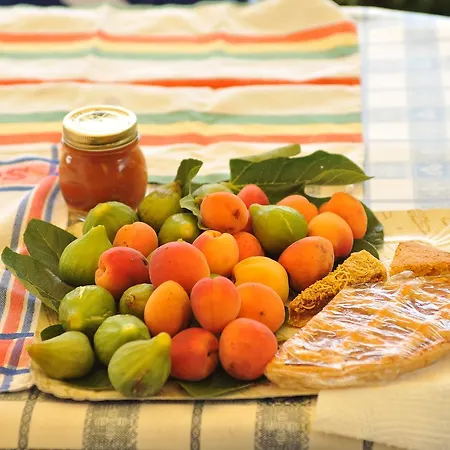 ファームステイ Campo Del Pillo Pietradura