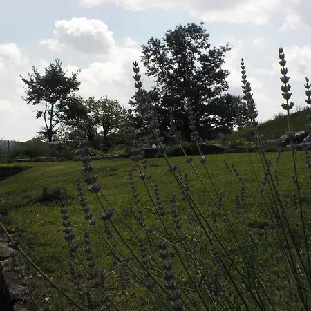 Campo Del Pillo Pietradura