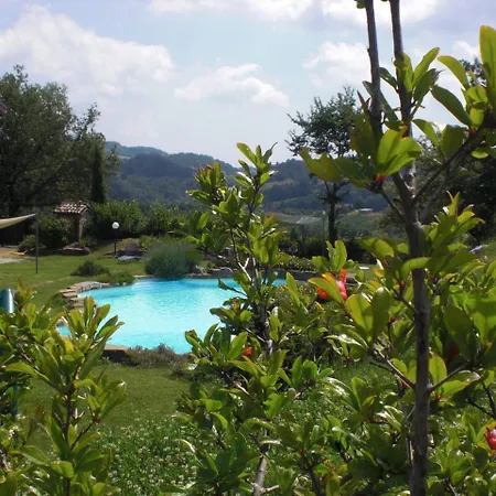 Campo Del Pillo Pietradura