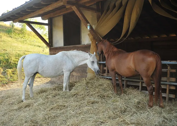 Alloggio per agriturismo Campo Del Pillo Pietradura