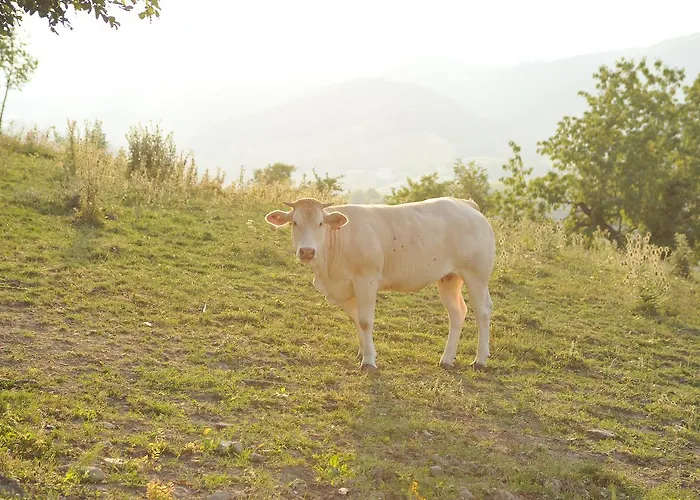 Alloggio per agriturismo Campo Del Pillo *